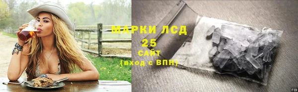 дживик Сатка