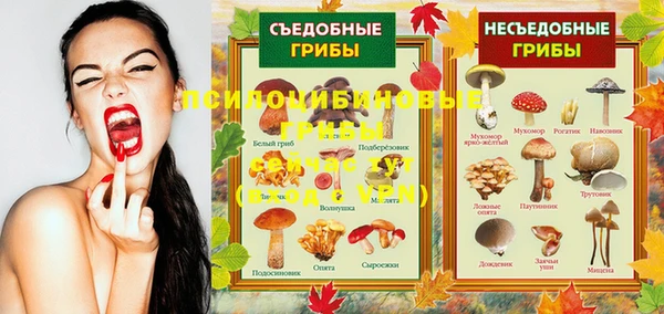 герыч Сафоново