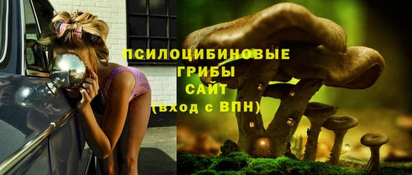 мет Рославль